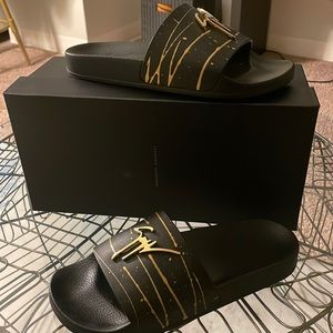 Giuseppe Zanotti slides